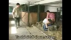 Afspelen Pornofilms in de stal met een tatoeage boer fourta