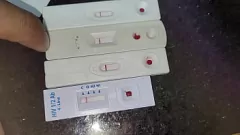 تشغيل اختبار DST السريع في المنزل ، مغلق Upas Sabbath - Black Huateur محلية الصنع بي بي سي وريال